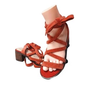 SOLE SOCIETY "PASHA" GLADIATOR STYLE SANDALS NWOT  SIZE 5.5